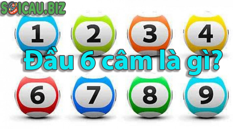 Đầu 6 Câm là gì?