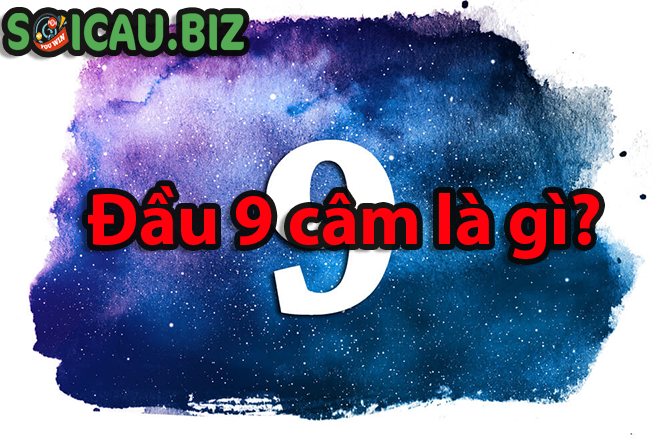 Đầu 9 câm là gì?