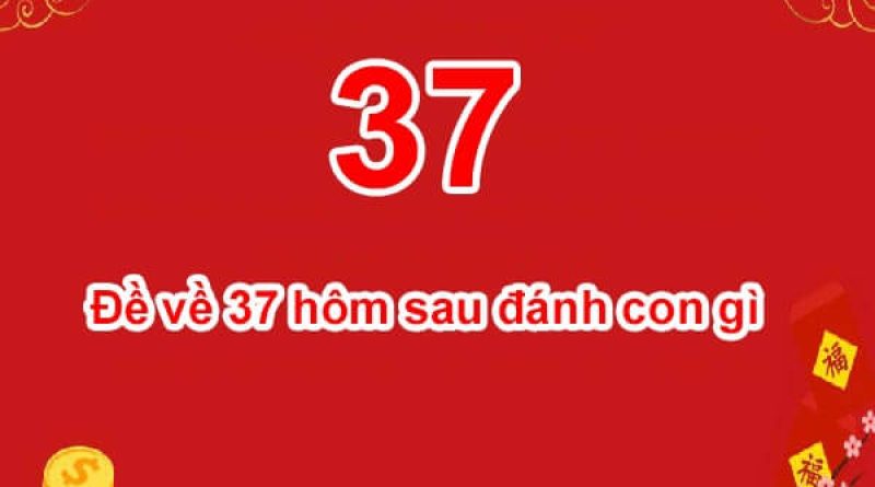 Đề về 37 hôm sau đánh con gì? Thống kê chi tiết đề về 37