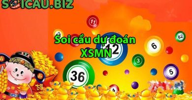 Soi Cầu dự đoán XSMN 20/11/2024 chuẩn xác, miễn phí