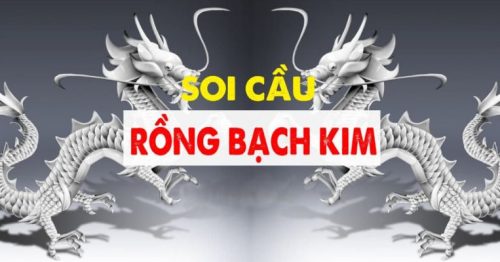 Rồng bạch kim  | rongbachkim.me – Website soi cầu số 1 Việt Nam