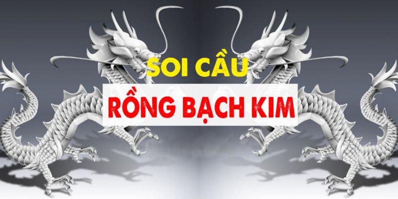 Một vài nét khái quát về website soi lô đề uy tín rồng bạch kim