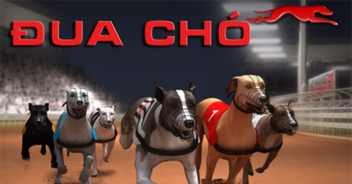 Game đua chó – Sân chơi tốc độ đầy hấp dẫn và kịch tính 2023