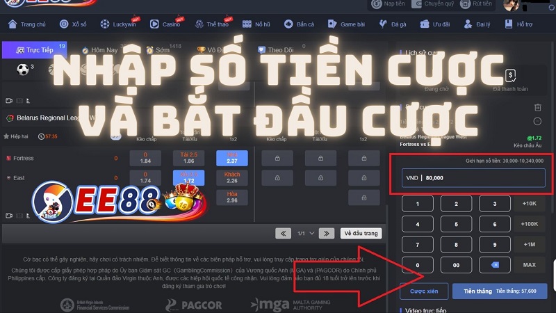 Nhập số tiền và bắt đầu đặt cược