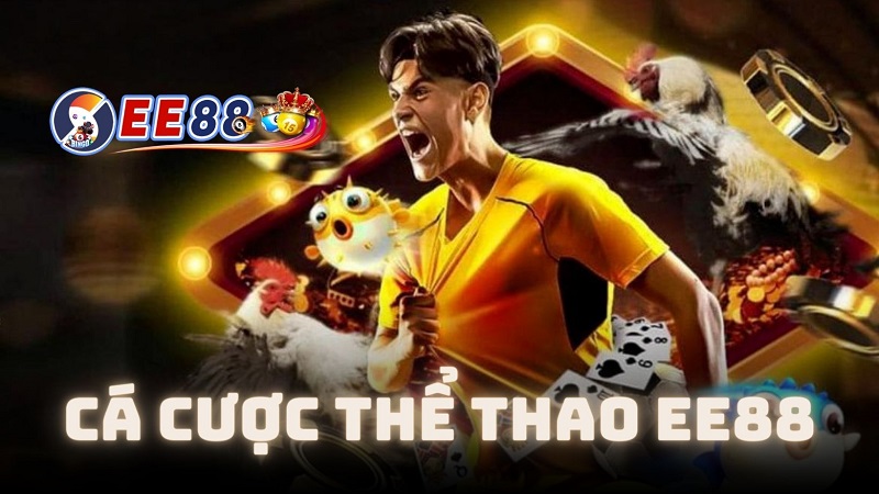 Tại sao bạn nên chơi cá cược thể thao tại EE88?