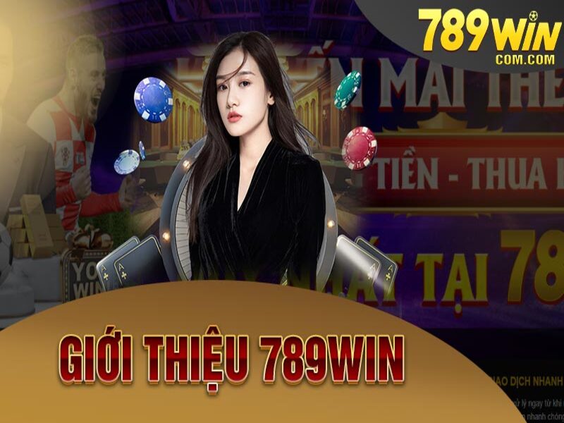 Nhà cái vn789win nhận được rất nhiều sự quan tâm