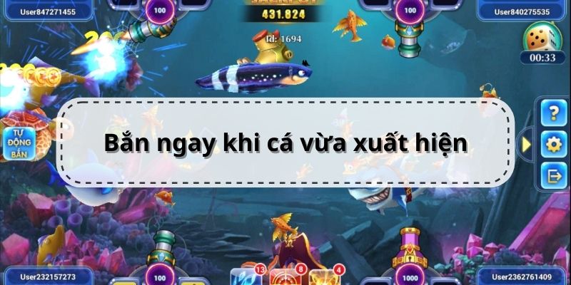 Kinh nghiệm bắn cá ngay khi chúng vừa xuất hiện