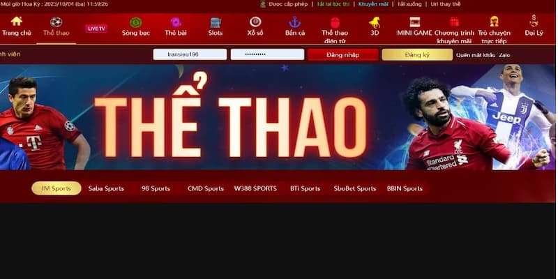 Cá cược thể thao W388