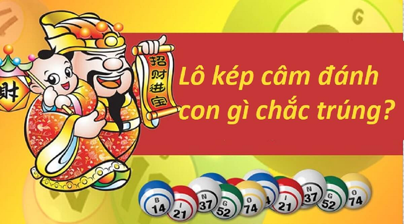 Chiến thuật bắt lô kép câm hôm sau từ VF555