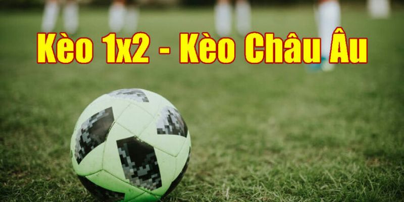Các loại kèo cược thường gặp tại nhà cái 8DAY
