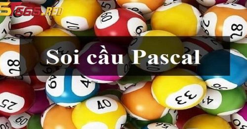 Cách Soi Cầu Pascal Chuẩn Xác Nhất Tại ST666