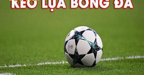 Kèo lựa là gì? Tại sao cá độ đá bóng phải quan tâm đến kèo này?