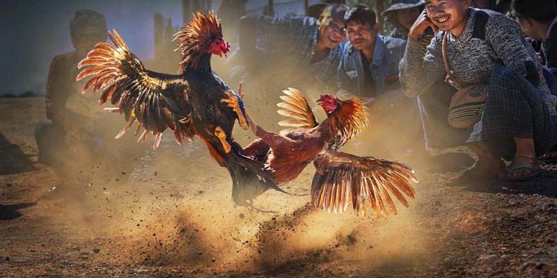 Linh hoạt về thời gian