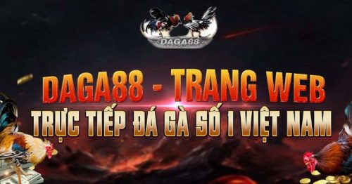 Tin Tức Daga88 – Kênh Đá Gà Hấp Dẫn Hốt Bạc Liền Tay