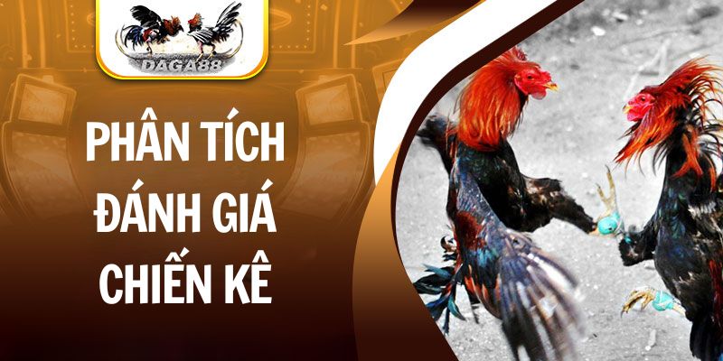 Phân tích đánh giá chiến kê