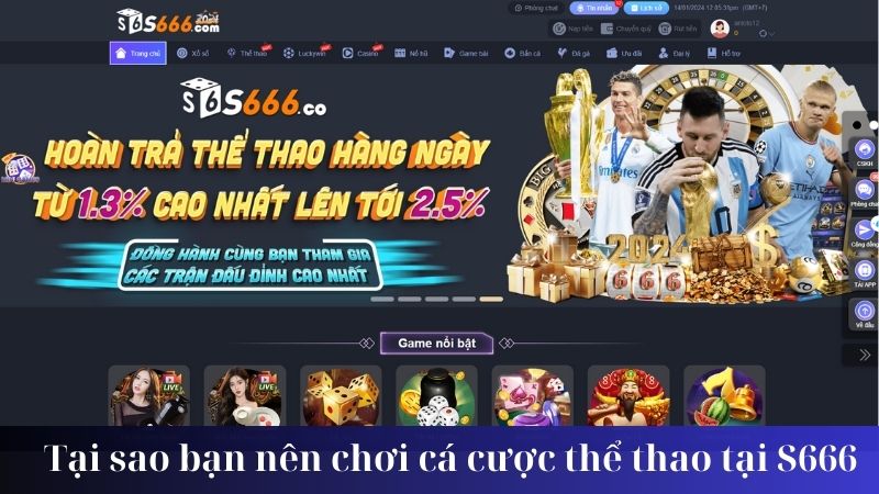 Tại sao bạn nên chơi cá cược thể thao tại S666