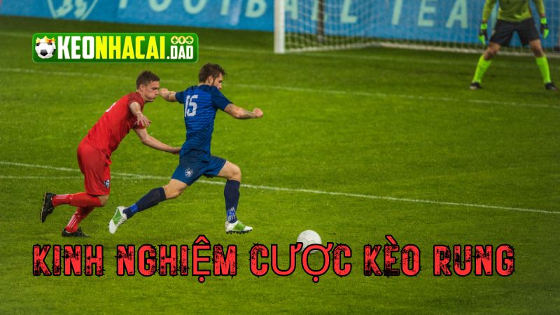 Kinh nghiệm cược kèo rung bất bại