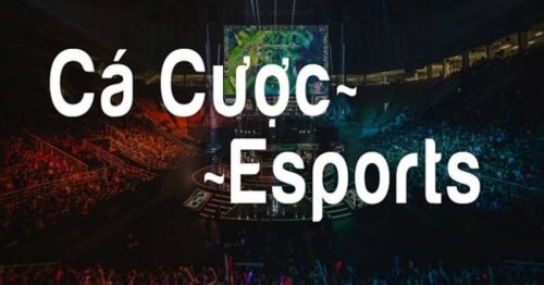 E-Sport New88 – Nơi Cung Cấp Những Kèo Cược Hấp Dẫn 