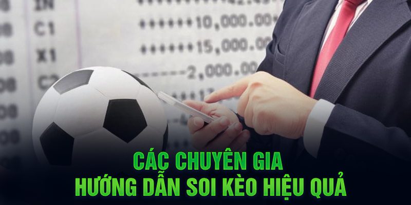 Ảnh: Các chuyên gia hướng dẫn soi kèo hiệu quả